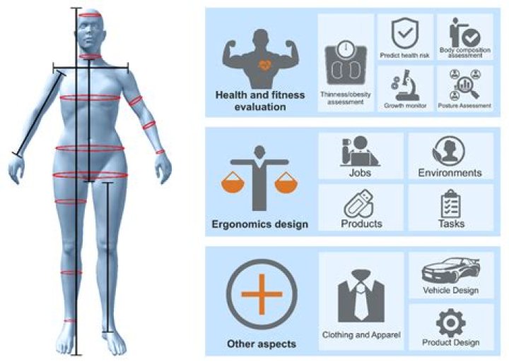 A Comprehensive Guide To Measurements And Physical Attributes