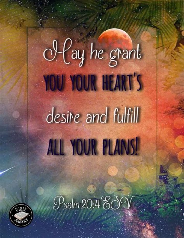 A Journey Of Blessings And Hope