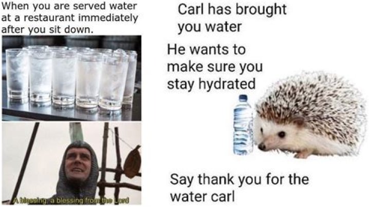 A Window Into Hydration, Humor, And Legacy
