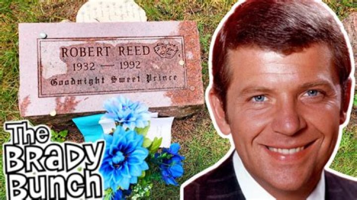 Ben Reed Net Worth