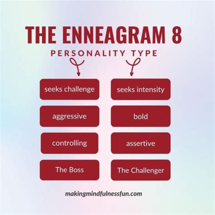 DashJ | Enneagram Type 8