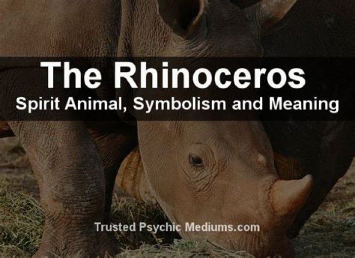 DashJ | The Rhinoceros Spirit Animal