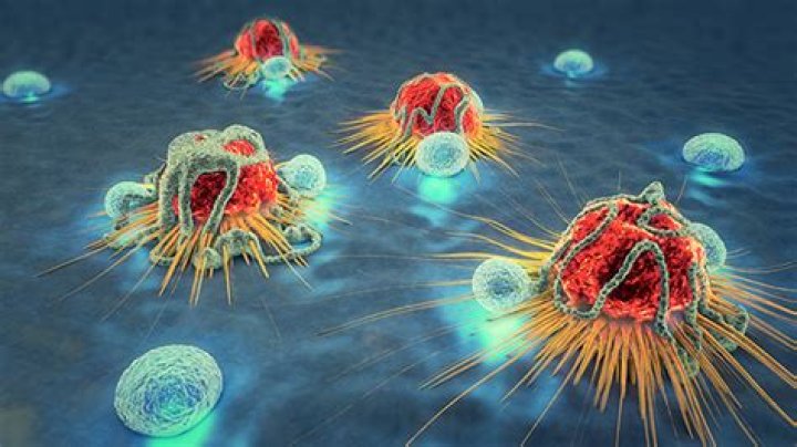 Innovator Behind Seagen's Cancer-Fighting Therapies
