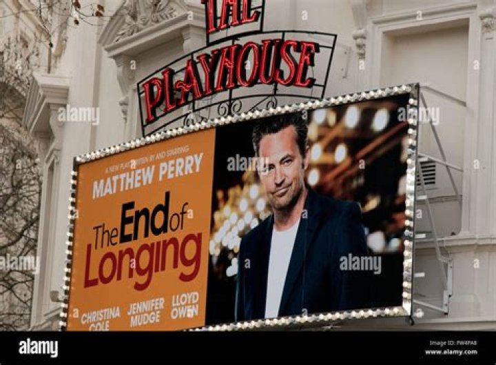 Matthew Perrys The End of Longing
