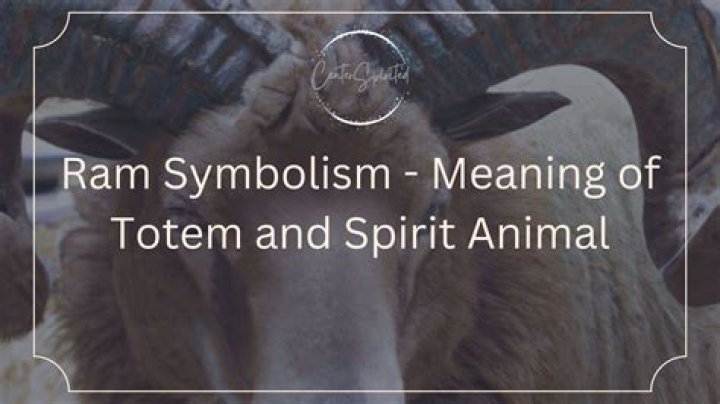 Ram Spirit Animal Totem Meaning: Showing Your Strengths