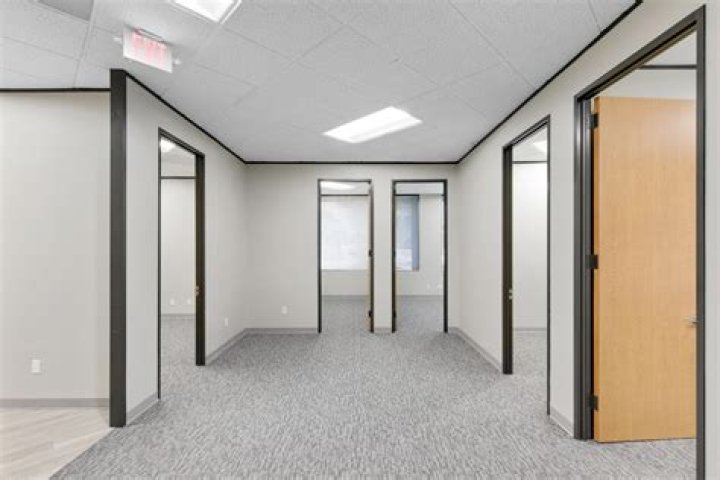 Uncover The Secrets To Houston Commercial Real Estate With Litza Reali's Expert Insights