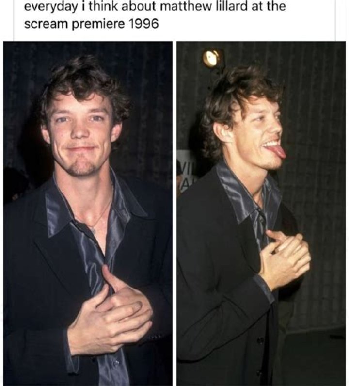 Uncovering Matthew Lillard's Enduring Union