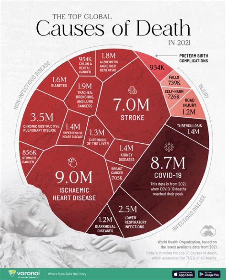 Understanding Death Cause and Family Impact