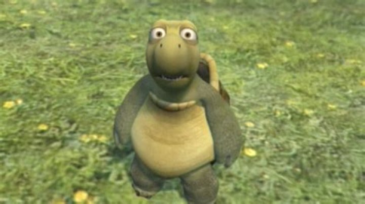 We found The Circles DAN on Instagram Is he single? Is that turtle really his? Tue 25 Se |