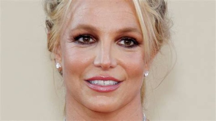 What We Know About Britney Spears And Jason Trawick |